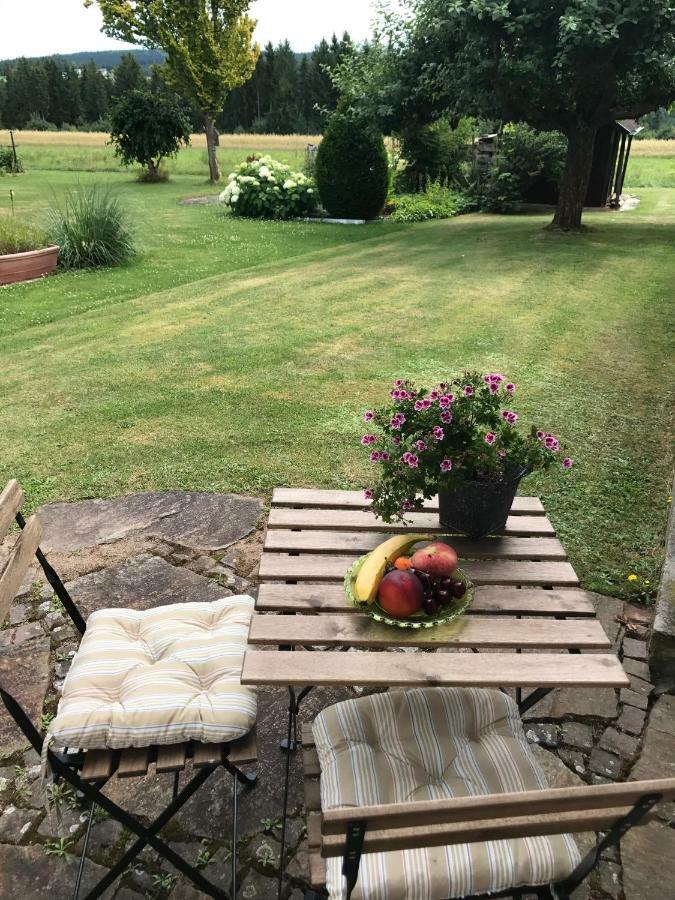 بفالتزغرافنويلر Black Forest Guest Stay المظهر الخارجي الصورة
